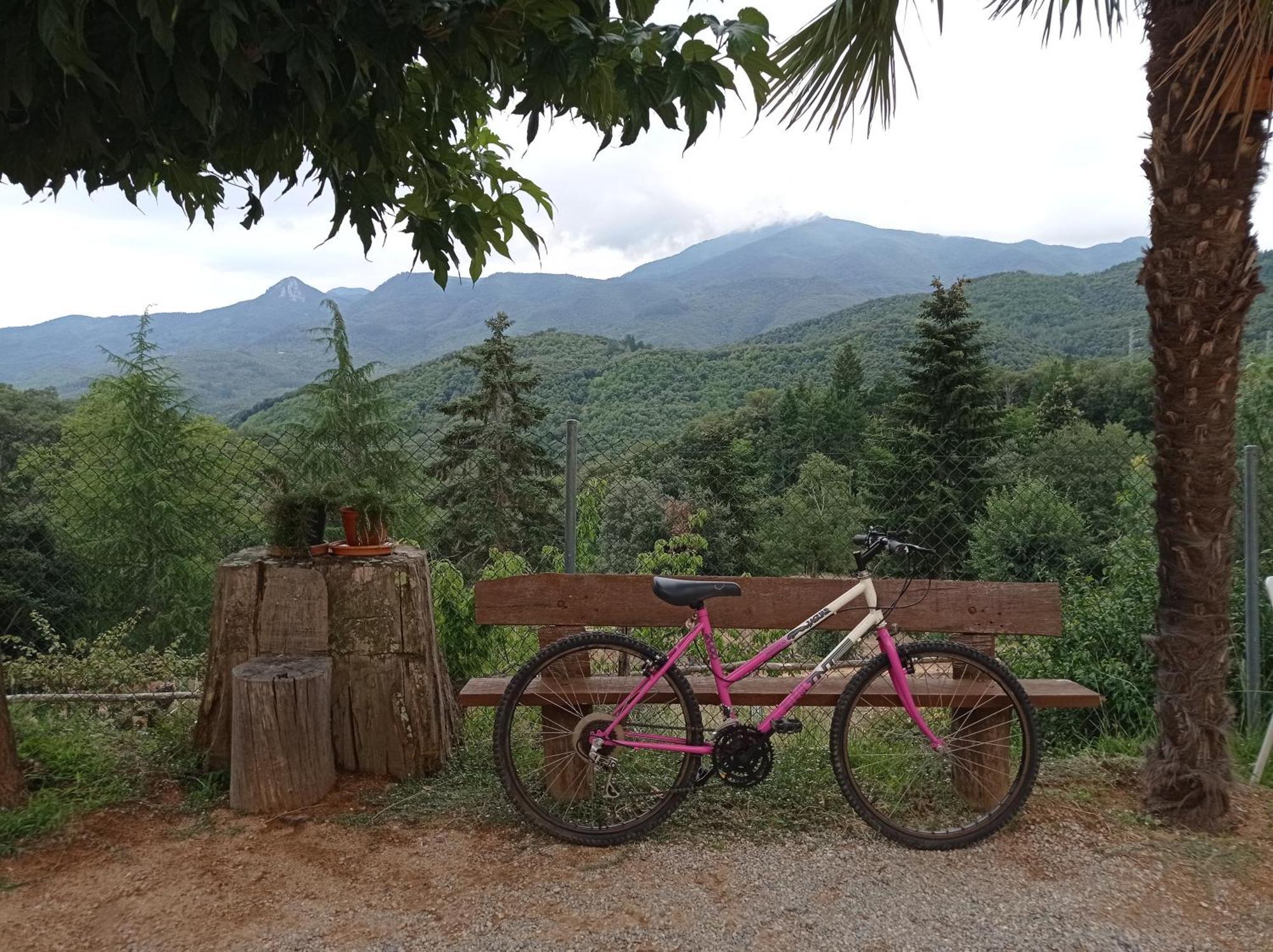 Apartamento En Pleno Montseny Mas Romeu Turisme Rural Arbucies Ngoại thất bức ảnh