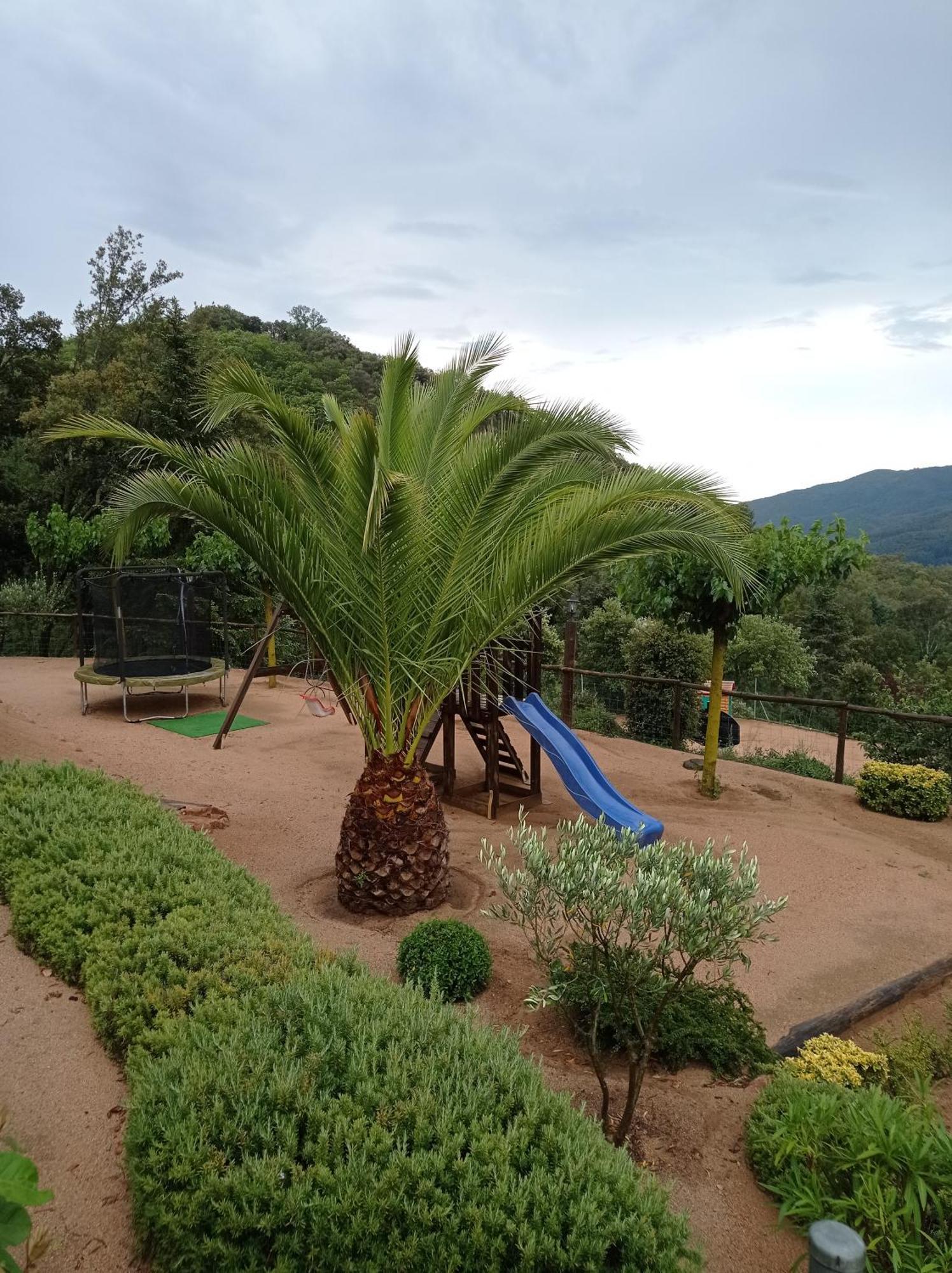Apartamento En Pleno Montseny Mas Romeu Turisme Rural Arbucies Ngoại thất bức ảnh