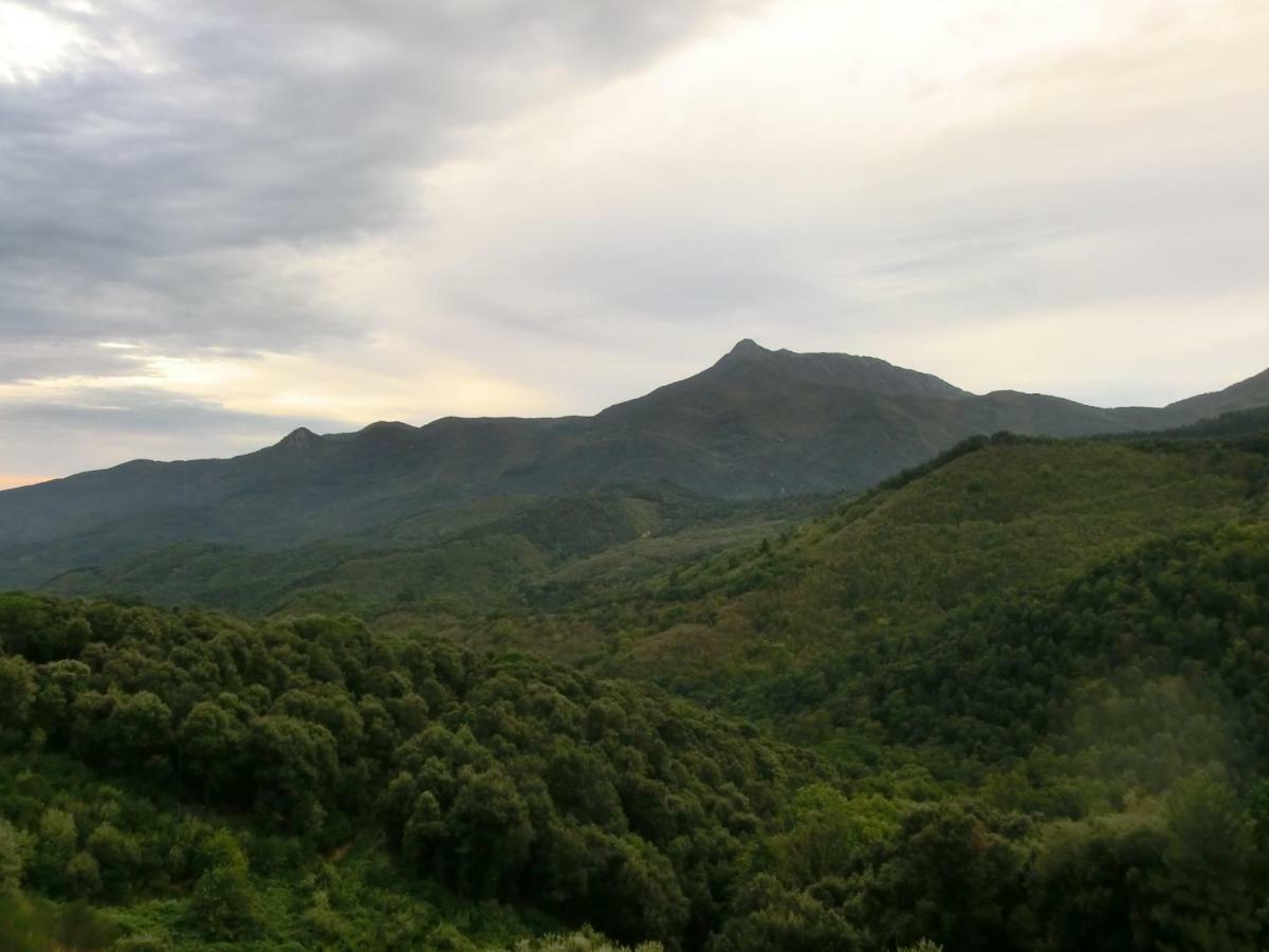 Apartamento En Pleno Montseny Mas Romeu Turisme Rural Arbucies Ngoại thất bức ảnh